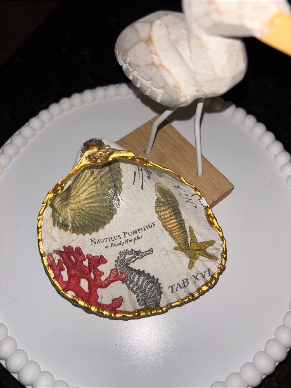 Figure eight island NC Shell trinket Dish
